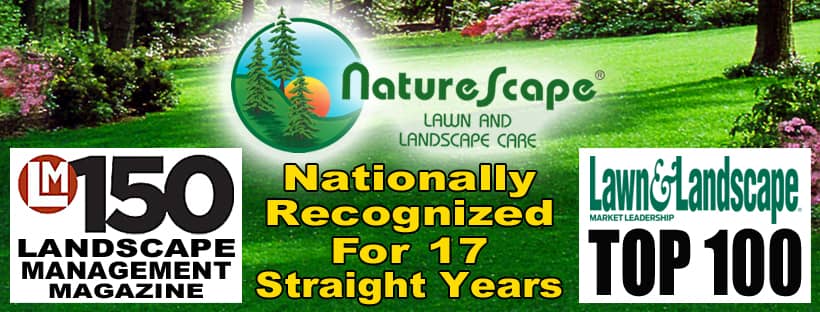 South Bend In Naturescene Lawn And, Landscaping Companies South Bend Indiana